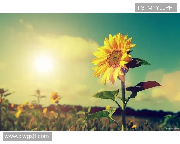 魏小杰的奋斗故事:从平凡到卓越的成长之路与人生启示